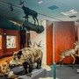 Una sala del Museo di storia naturale di Nizza Una sala del Museo di storia naturale di Nizza