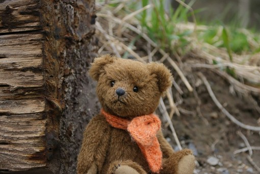 Dal salotto delle famiglie nobili a compagno d'infanzia: La straordinaria evoluzione dei peluche, oggi anche ambasciatori della natura Dal salotto delle famiglie nobili a compagno d'infanzia: La straordinaria evoluzione dei peluche, oggi anche ambasciatori della natura