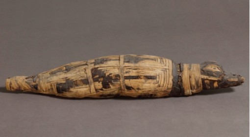 Momies, la mostra nel Var dedicata alle Mummie ed all'Antico Egitto