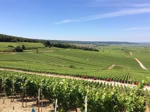 Nasce nuova Indicazione Geografica Protetta (IGP) per i vini spumanti prodotti nel Sud Est francese