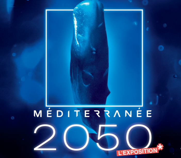 L'Istituto oceanografico di Monaco presenta la mostra "Méditerranée 2050" L'Istituto oceanografico di Monaco presenta la mostra "Méditerranée 2050"