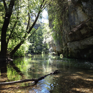 Parc Naturel Urbain des Rives du Loup (sito ufficiale)
