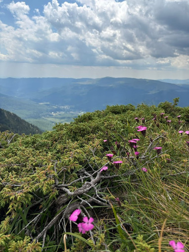 “Rendez-vous Nature 2026”