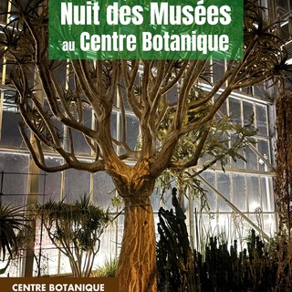 Per la &quot;Notte Europea dei Musei&quot; due visite guidate al Centro Botanico di Monaco