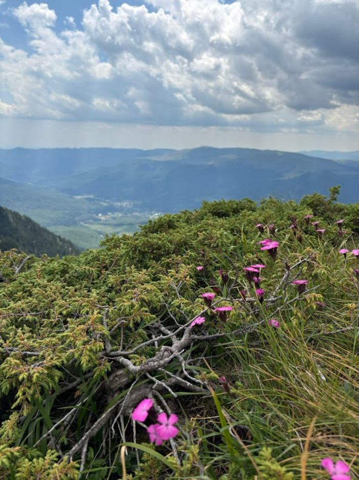 “Rendez-vous Nature 2026”
