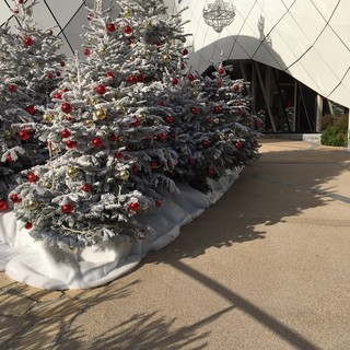 I Regali per i bimbi del Principato sono confermati, anche se in modo diverso