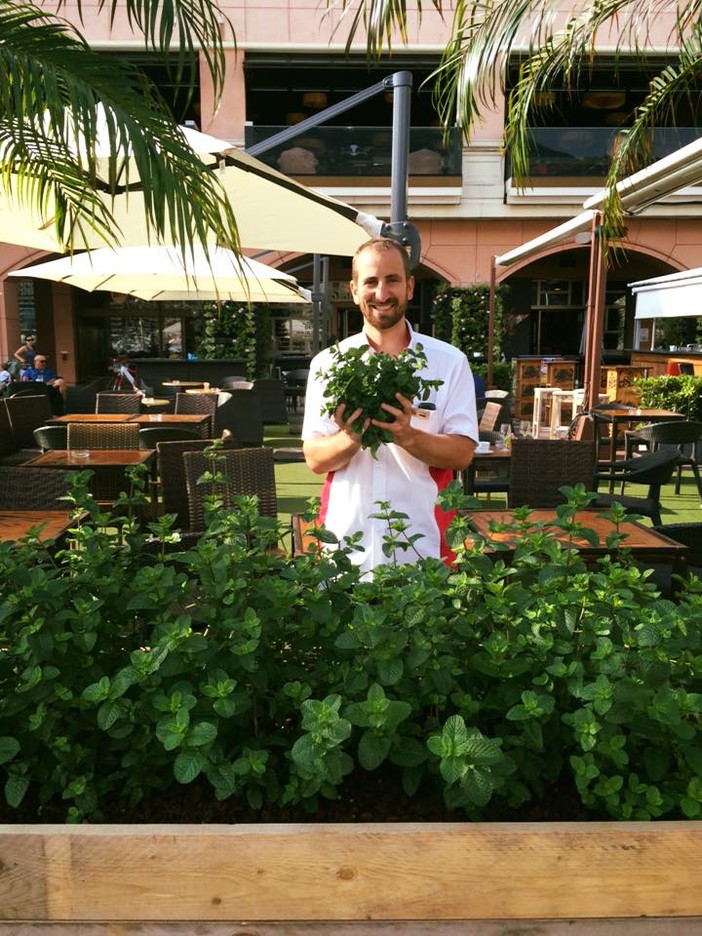 Lo Stars'N'Bars di Monaco riapre il 2 giugno tra menù digitali e nuovi piatti