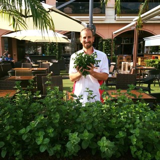 Lo Stars'N'Bars di Monaco riapre il 2 giugno tra menù digitali e nuovi piatti