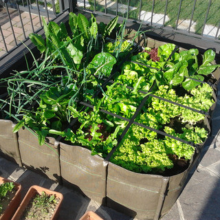 Domenica 22 settembre a Mentone torna Bourse aux plantes, incontro tra gli appassionati con il pollice verde