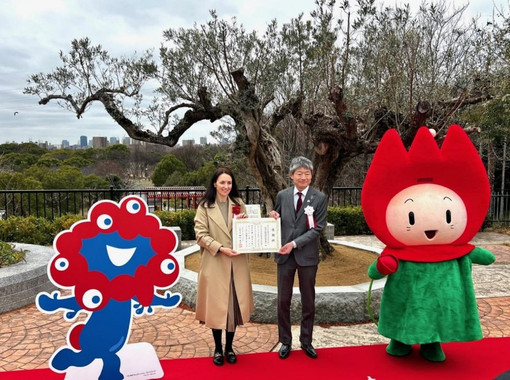 Ulivo secolare: nuovo simbolo di amicizia e cooperazione tra Monaco e il Giappone.