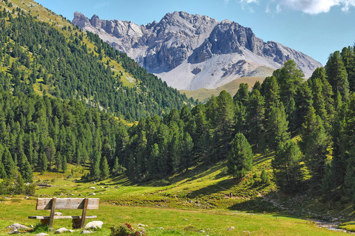 Neige &amp; Merveilles riapre a Tende dal 7 al 10 maggio 2026 con un evento solidale tra natura e sostenibilità