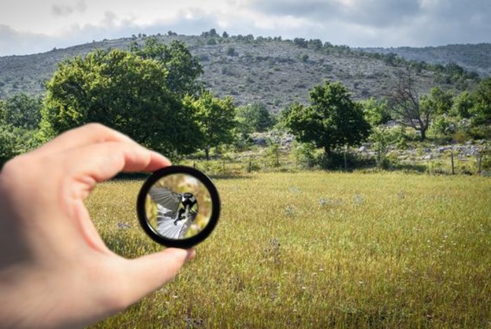 Alla scoperta dei parchi delle Alpi Marittime: ad aprile tante animazioni e visite guidate