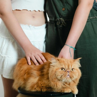 Progetto fotografico di ©Laura Lafon