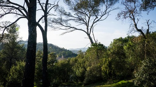 Parc du San Peyre Parc du San Peyre