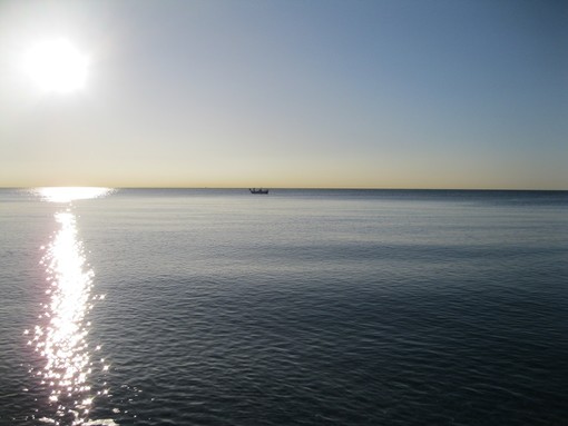 Disavventura per un bus...non ha raggiunto Nizza e Marsiglia se non dopo alcuni...stop