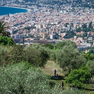Panorama di Nizza dal Parc du Vinaigrier