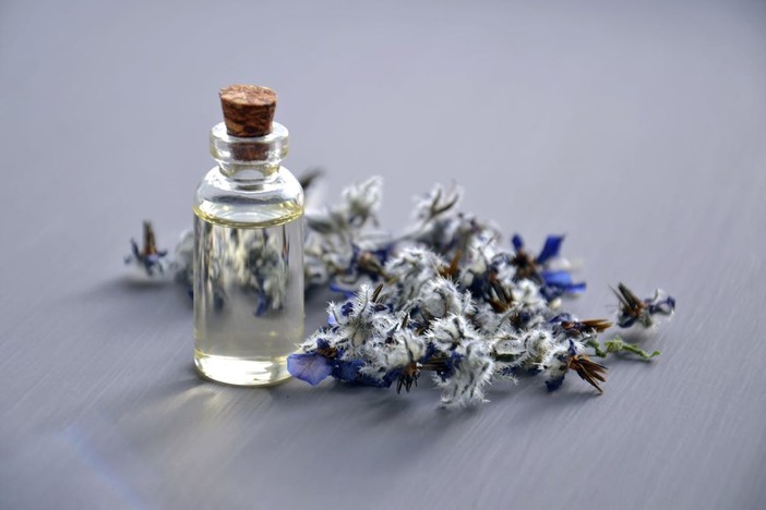 Trova il tuo profumo equivalente: dal codice al profumo perfetto per te Trova il tuo profumo equivalente: dal codice al profumo perfetto per te