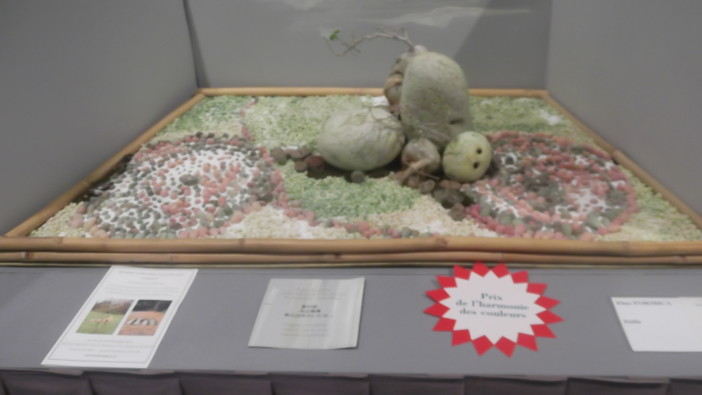 Montecarlo, speciale concorso bouquet: dalla lettura di un Haiku nasce il Giardino Giapponese di Pino Formica