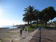 Nizza: 80 nuove piante in arrivo sulla Promenade des Anglais