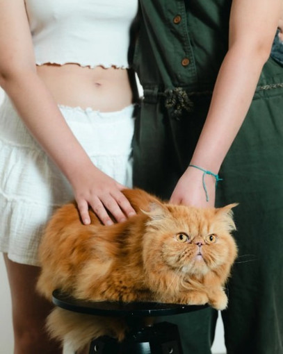 Progetto fotografico di ©Laura Lafon Progetto fotografico di ©Laura Lafon