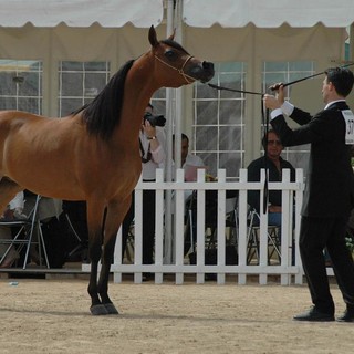 Un bel week end di sole tra eventi e manifestazioni a Montecarlo e Costa Azzurra