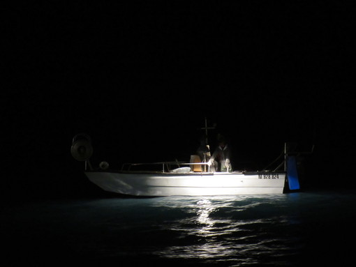 Si pescano i bianchetti (poutina) in Costa Azzurra: prezzi da 30 a 50 euro al kg