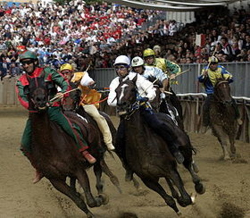 Gli appassionati di Palio, Cavalli e Sbandieratori possono seguire in diretta web il Palio di Asti Gli appassionati di Palio, Cavalli e Sbandieratori possono seguire in diretta web il Palio di Asti