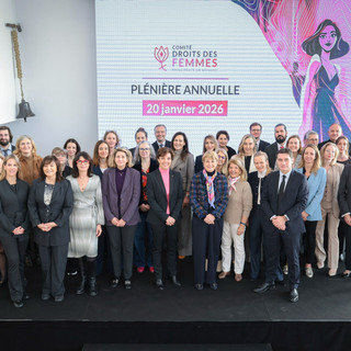 7ª riunione plenaria del CPDDF ©Stephane Danna Direzione della Comunicazione