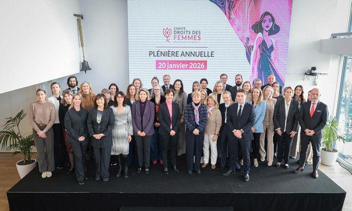 7ª riunione plenaria del CPDDF ©Stephane Danna Direzione della Comunicazione