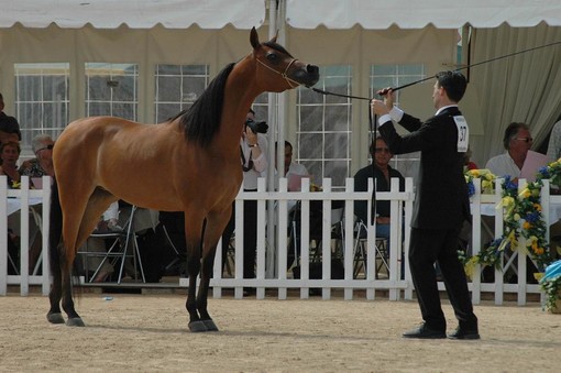 Un bel week end di sole tra eventi e manifestazioni a Montecarlo e Costa Azzurra