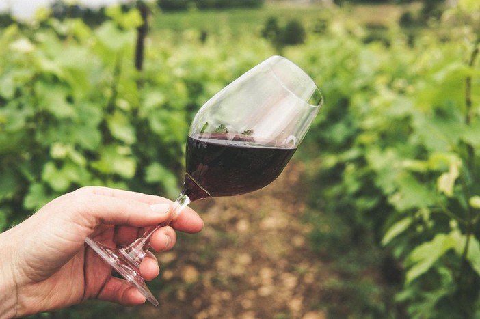 Come evitare che il vino vada a male?