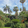 Foto: Jardin de la Petite Afrique,  © Monte-Carlo Société des Bains de Mer.