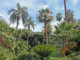 Foto: Jardin de la Petite Afrique, © Monte-Carlo Société des Bains de Mer. Foto: Jardin de la Petite Afrique, © Monte-Carlo Société des Bains de Mer.