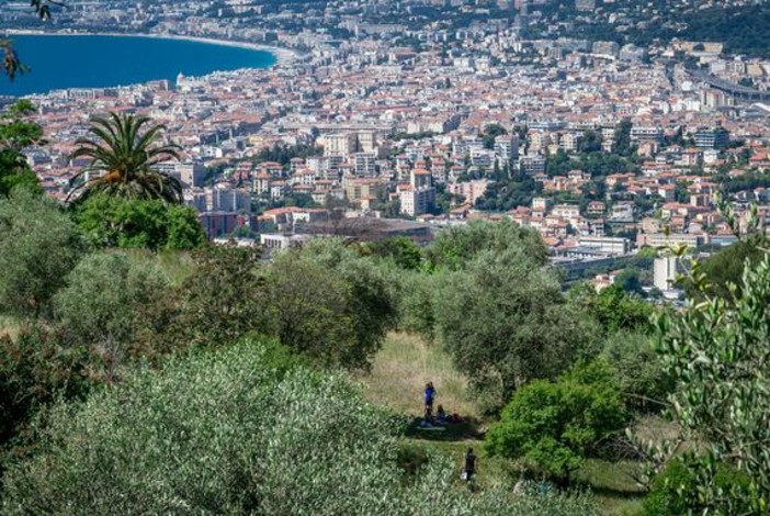 Panorama di Nizza dal Parc du Vinaigrier