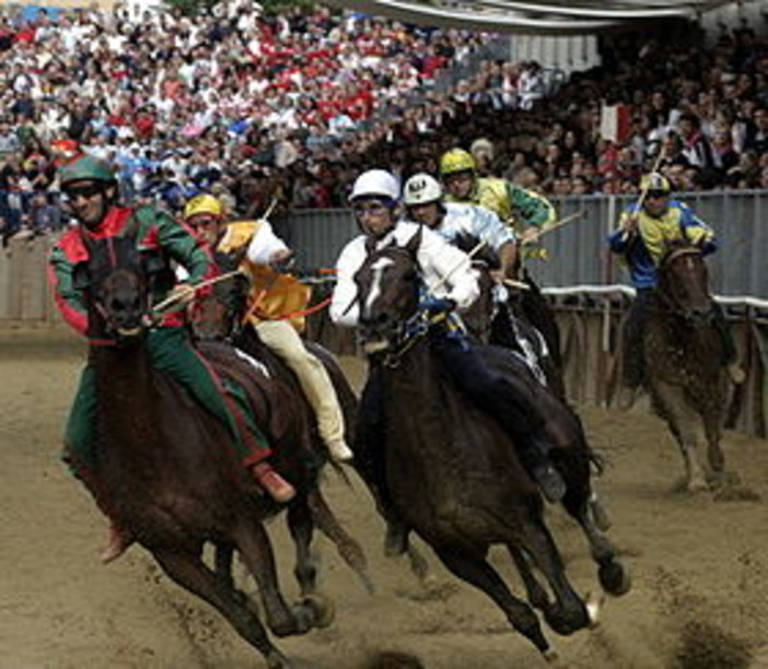 Gli appassionati di Palio, Cavalli e Sbandieratori possono seguire in diretta web il Palio di Asti Gli appassionati di Palio, Cavalli e Sbandieratori possono seguire in diretta web il Palio di Asti