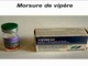 Scarseggia il siero antivipera in Francia, attenzione alle escursioni in montagna Scarseggia il siero antivipera in Francia, attenzione alle escursioni in montagna