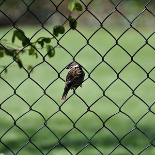 Recinzioni in ferro: guida completa per scegliere, installare e valorizzare ogni spazio