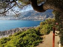 Eventi e nuove aperture: l'estate sulla riviera francese prende vita
