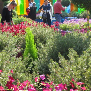 La Merenda: un ristorante d'altri tempi nel cuore di Nizza dove la qualità è garantita