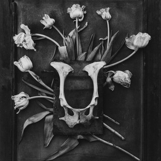 Sabato 29 giugno a Chieri inaugurazione della mostra fotografica “HISTOIRES de FLEURS”