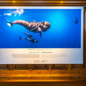 Foto: © Musée océanographique de Monaco Foto: © Musée océanographique de Monaco