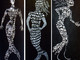 Gli abissi e le sirene di Béatrice Coron alla Mediateca di Montecarlo Gli abissi e le sirene di Béatrice Coron alla Mediateca di Montecarlo