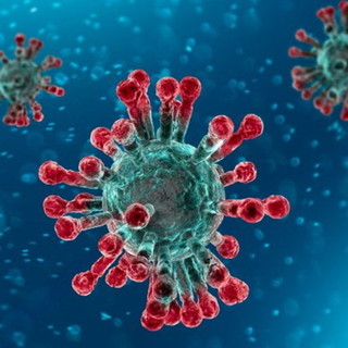 Coronavirus: nessun caso positivo al covid 19 anche domenica nel Principato di Monaco