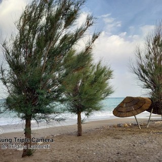 "Si alza il vento", fotografia di Cristina Lamberti