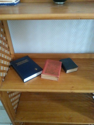 Nizza: "Noi accogliamo tutte le culture", in albergo Corano, Nuovo Testamento e dizionario d'inglese Nizza: "Noi accogliamo tutte le culture", in albergo Corano, Nuovo Testamento e dizionario d'inglese