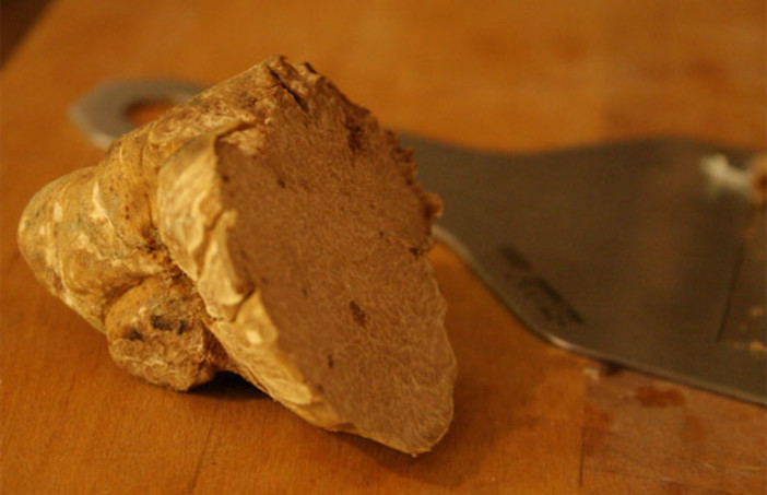 Tartufo Bianco di Alba: ottimo e abbondante a dicembre nel Roero. I Francesi grandi consumatori