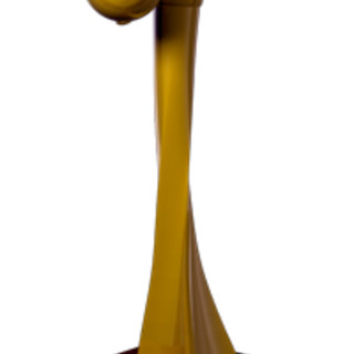 La Nazionale Italiana Cuochi sul podio di Francia