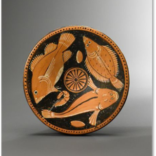 “Dal laboratorio al museo”, tavola rotonda al Musée de la Préhistoire de Terra Amata