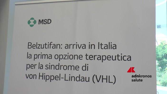 Malattie rare: sindrome di von Hippel-Lindau, in Italia prima terapia sistemica Malattie rare: sindrome di von Hippel-Lindau, in Italia prima terapia sistemica