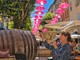 Grasse, il vino torna protagonista nel centro storico con le Vendanges Libres Grasse, il vino torna protagonista nel centro storico con le Vendanges Libres